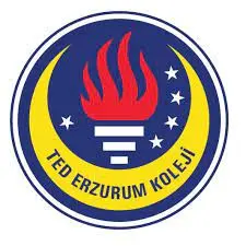Erzurum Ted Koleji Davlumbaz İçi Otomatik Söndürme Sistem Montajları